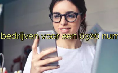 Waarom kiezen bedrijven voor een 0320 nummer in Lelystad