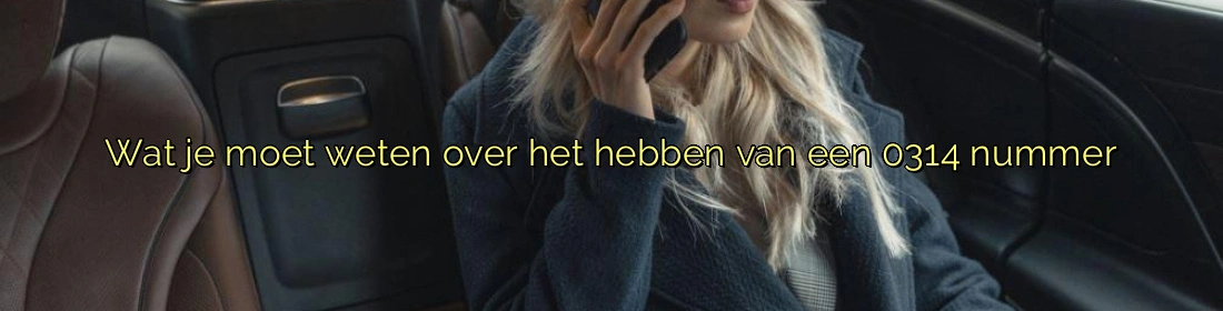 Wat je moet weten over het hebben van een 0314 nummer