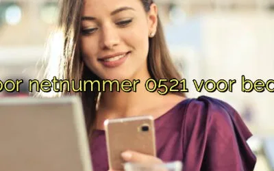 ﻿Waarom je kiest voor netnummer 0521 voor bedrijven in Steenwijk.​
