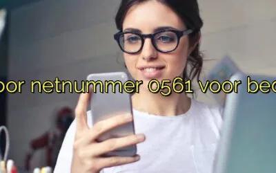﻿Waarom je kiest voor netnummer 0561 voor bedrijven in Wolvega.​