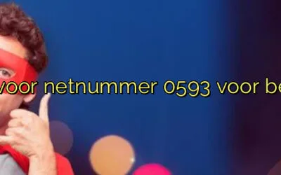 ﻿Waarom je kiest voor netnummer 0593 voor bedrijven in Beilen.​