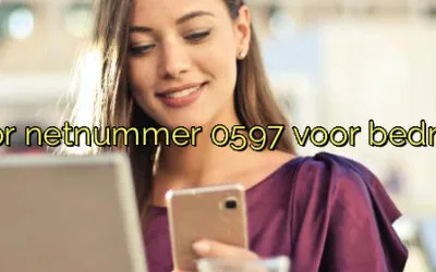 ﻿Waarom je kiest voor netnummer 0597 voor bedrijven in Winschoten.​