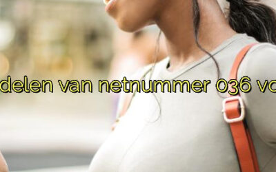 ﻿Kosten en voordelen van netnummer 036 voor jouw bedrijf.​