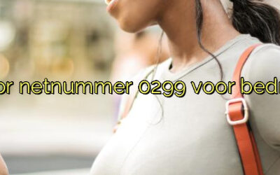 ﻿Waarom je kiest voor netnummer 0299 voor bedrijven in Purmerend.​