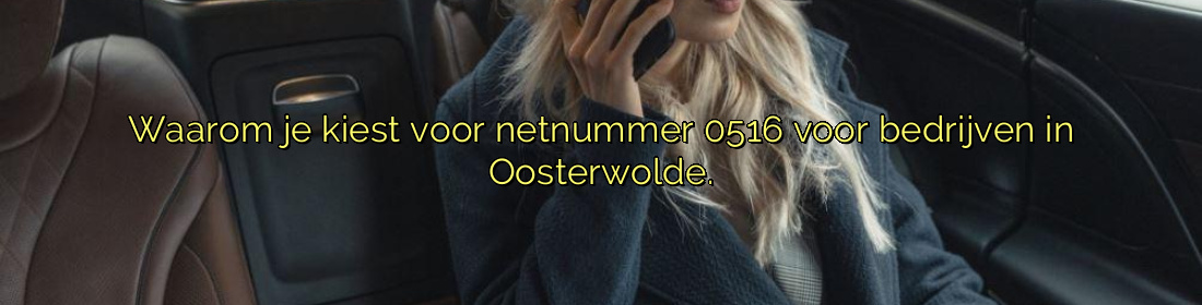 ﻿Waarom je kiest voor netnummer 0516 voor bedrijven in Oosterwolde.​