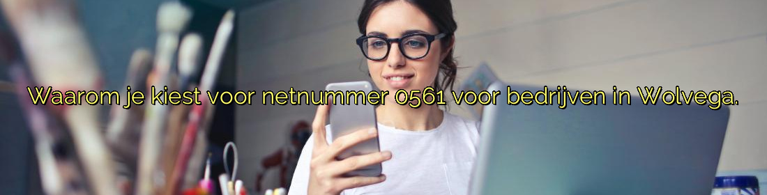 Waarom je kiest voor netnummer 0561 voor bedrijven in Wolvega. Waarom je kiest voor netnummer 0561 voor bedrijven in Wolvega.